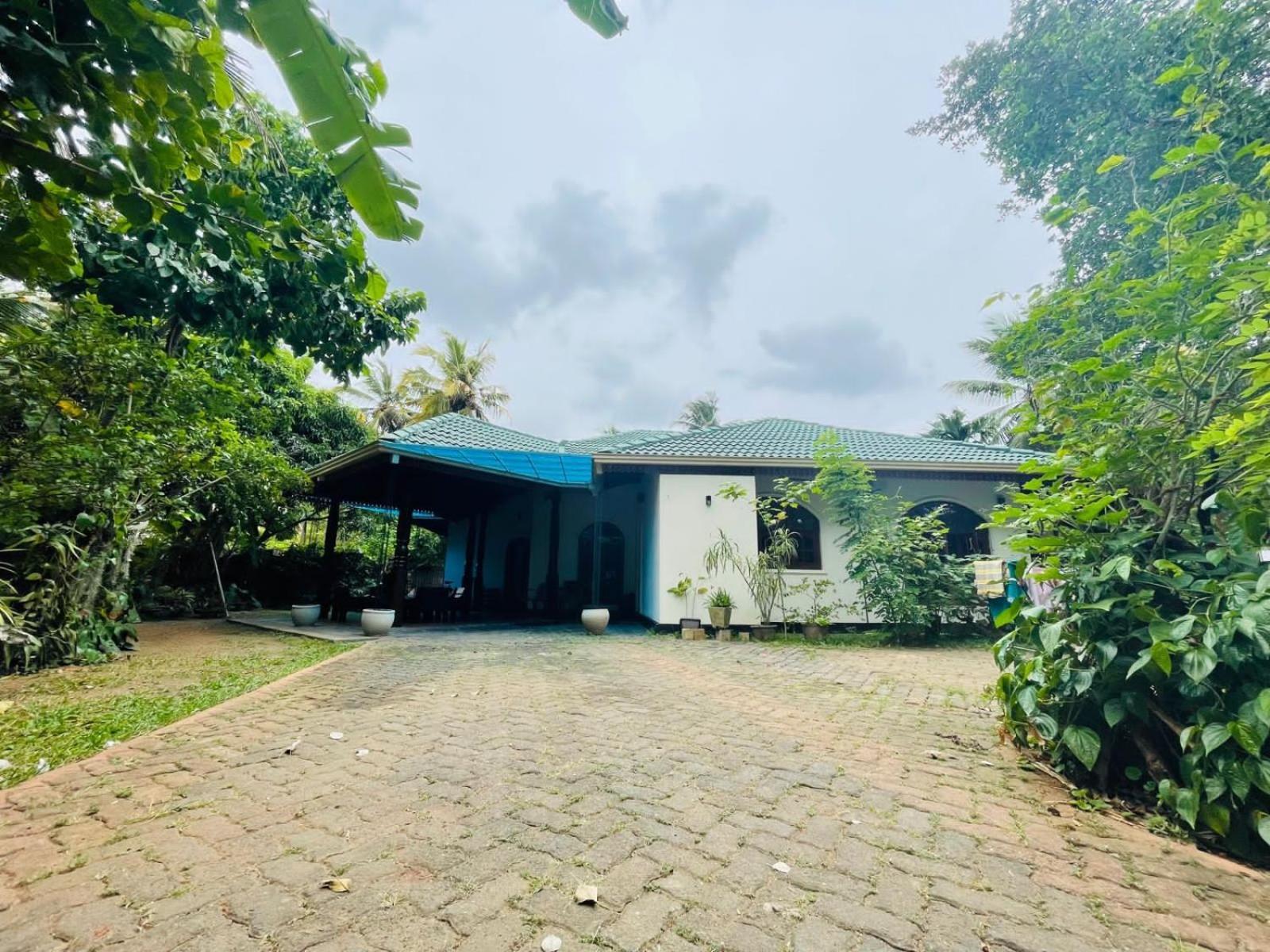 מלון אנוראדפורה Langama Thena - ළඟම තැන מראה חיצוני תמונה
